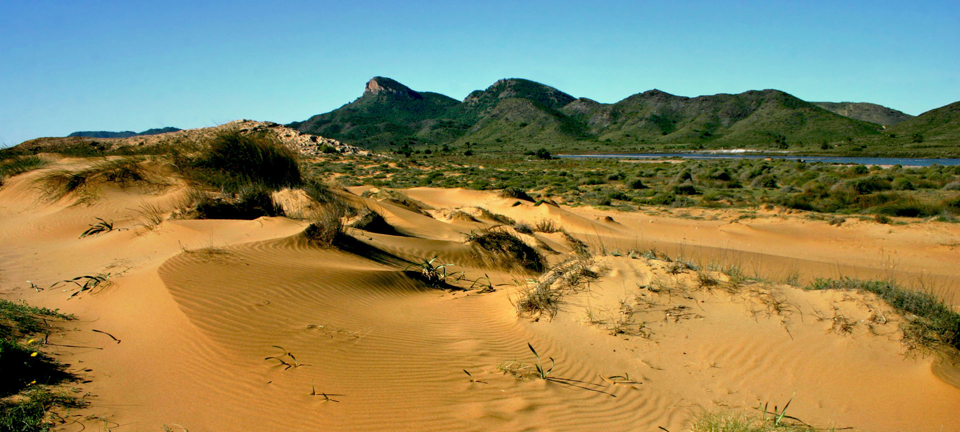 Dunas en Cabo de Palos Dunas en Cabo de Palos