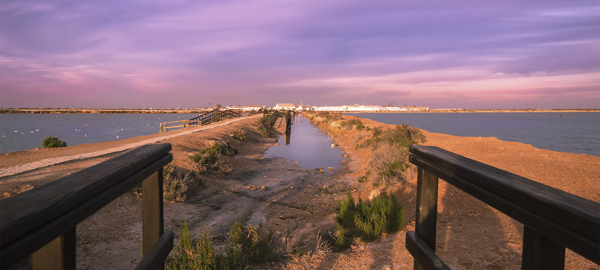 Salinas de San Pedro del Pinatar, en Murcia Salinas de San Pedro del Pinatar, en Murcia