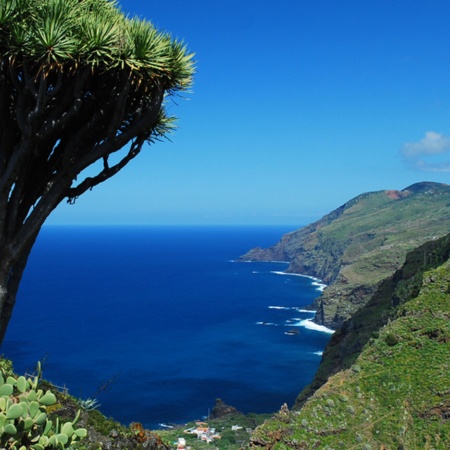 El Tablado, north coast of La Palma