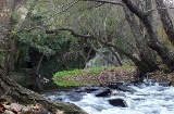 タホ川越境生物圏保護区。セベル川