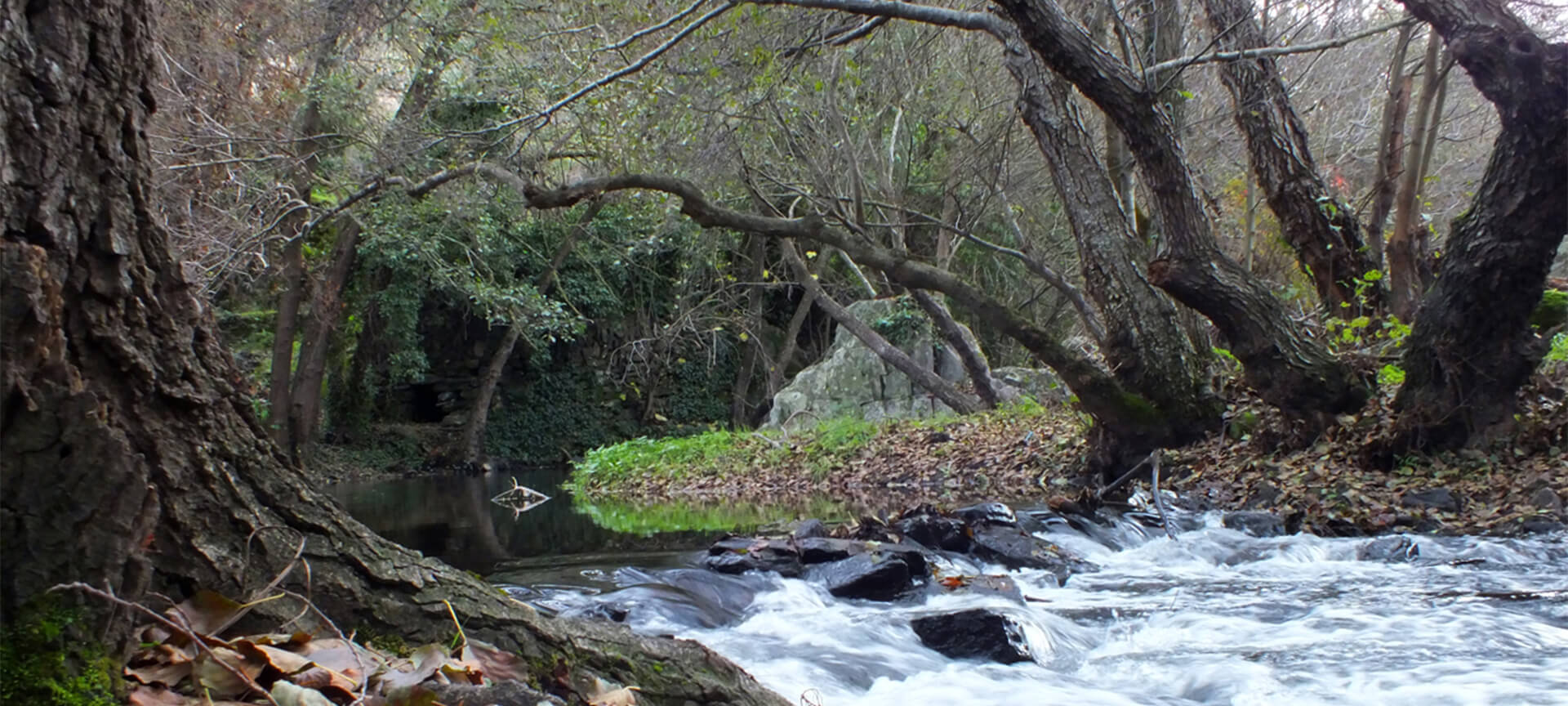 Réserve de biosphère transfrontalière du Tage. Rivière Sever Réserve de biosphère transfrontalière du Tage. Rivière Sever