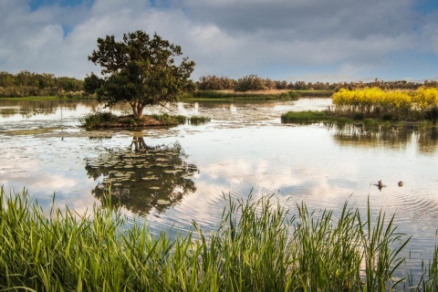Aiguamolls de l'Empordà Natural Park