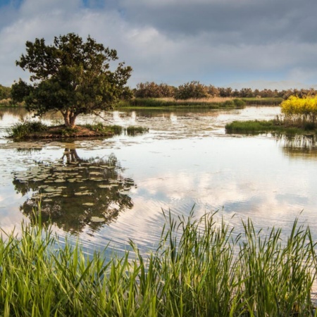 Aiguamolls de l'Empordà
