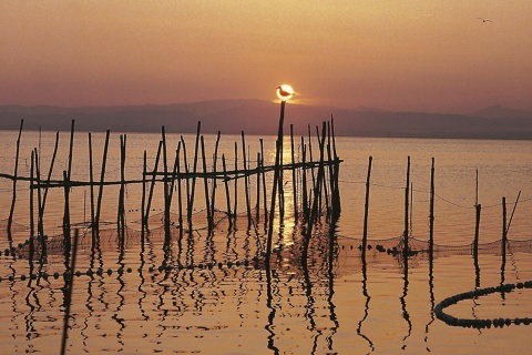 L'Albufera (Valencia)