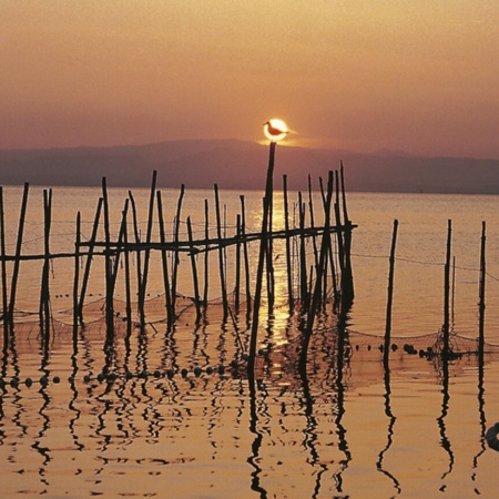 L’Albufera (Valencia)