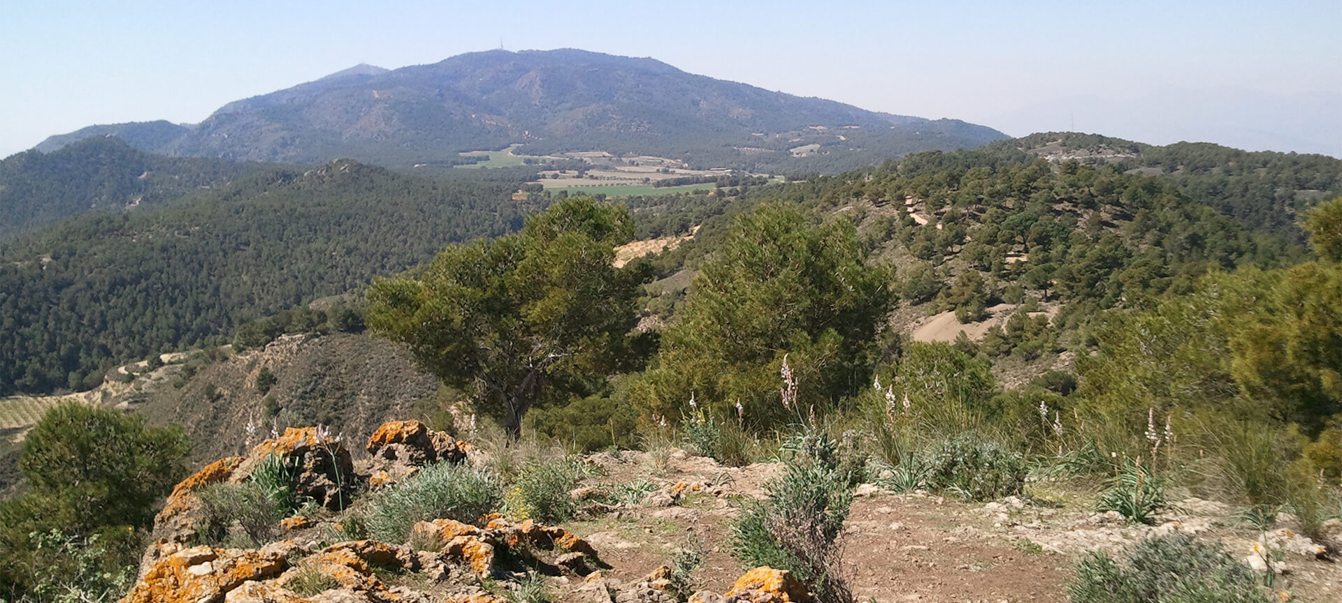 Sierra Carrascoy from Pico del Águila Sierra Carrascoy from Pico del Águila