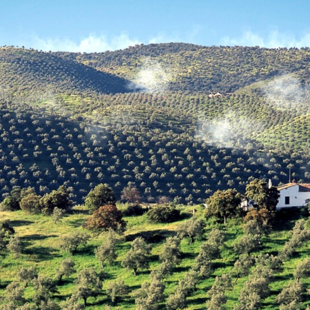 Espiel em serra Morena