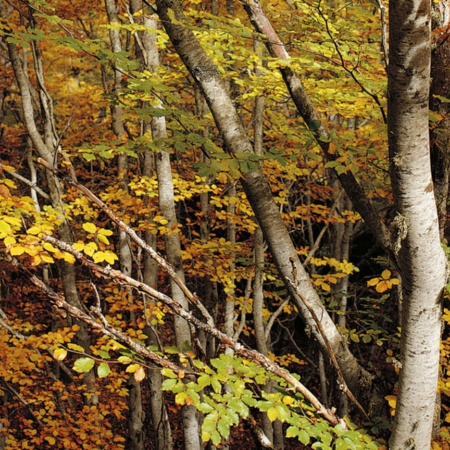 Sierra di Tejeda