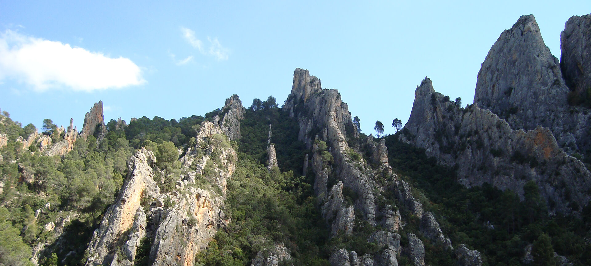Parque Nacional de las hoces del Cabriel Parque Nacional de las hoces del Cabriel