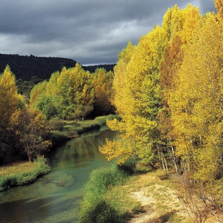 Alto Tajo Natural Park