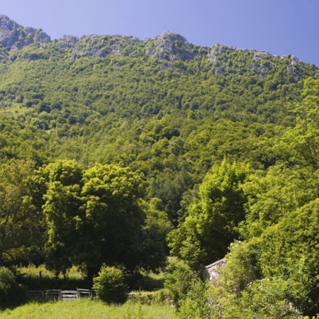 Redes Nature Reserve