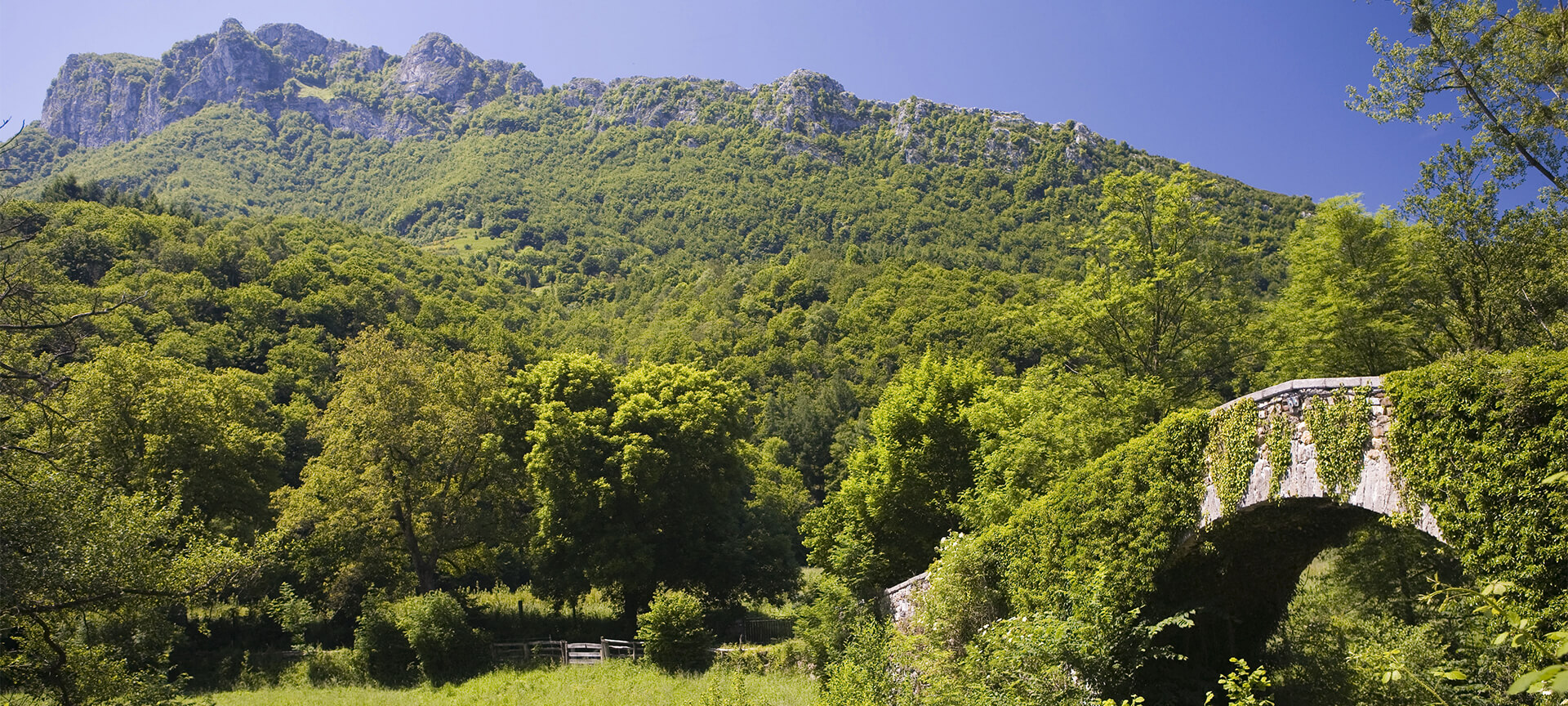 Redes Nature Reserve Redes Nature Reserve
