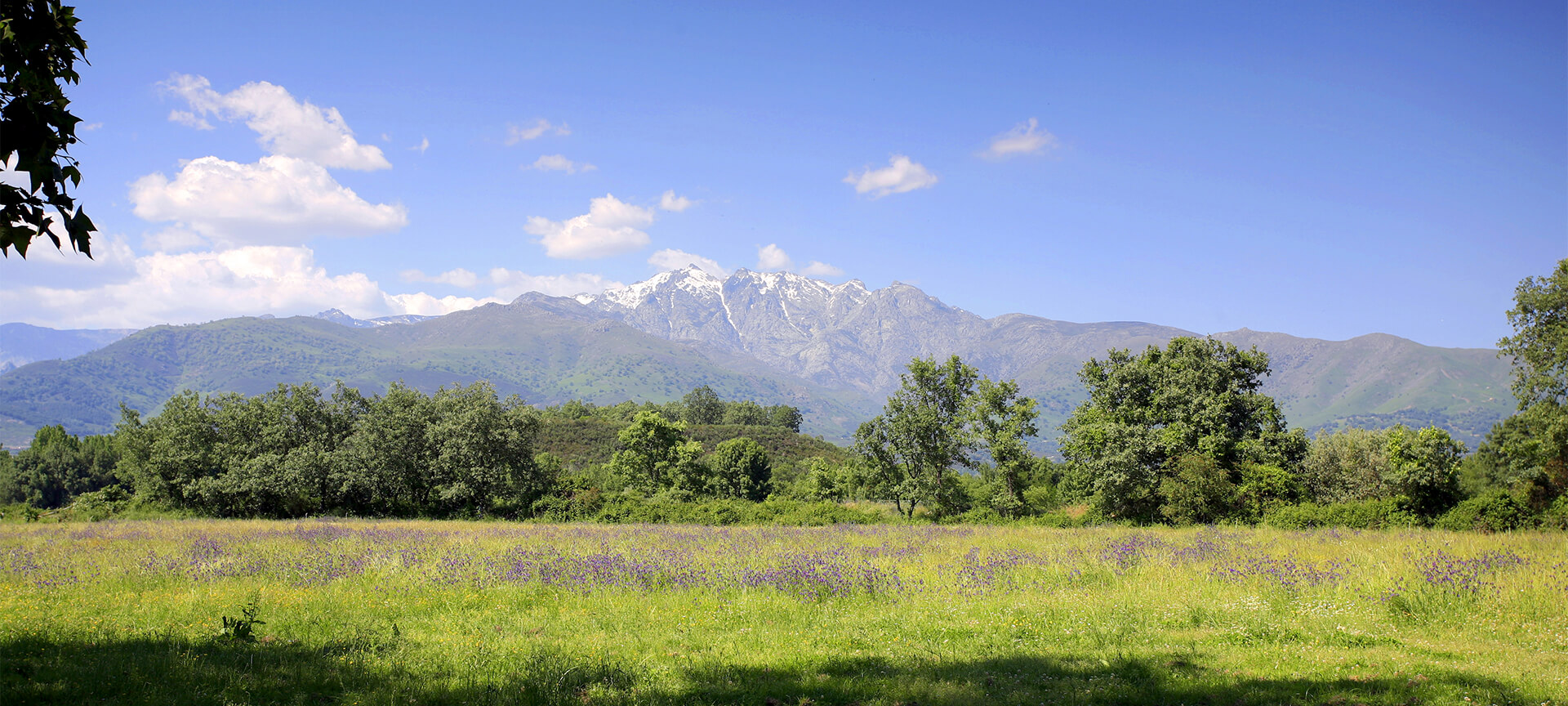 アビラ県イルエラスのグレドス山脈 アビラ県イルエラスのグレドス山脈