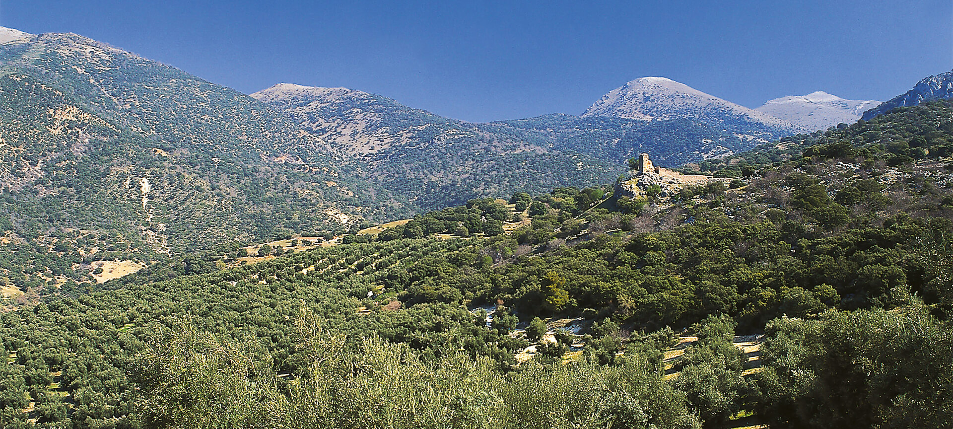 Sierra Maginá, province de Jaén Sierra Maginá, province de Jaén