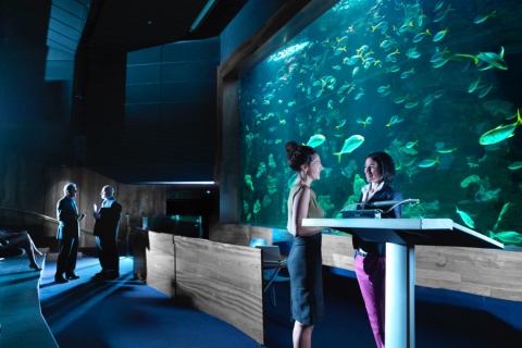  Evento all'Auditorium Aquarium a San Sebastián