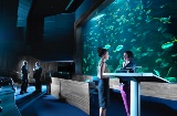 Evento all'Auditorium Aquarium a San Sebastián