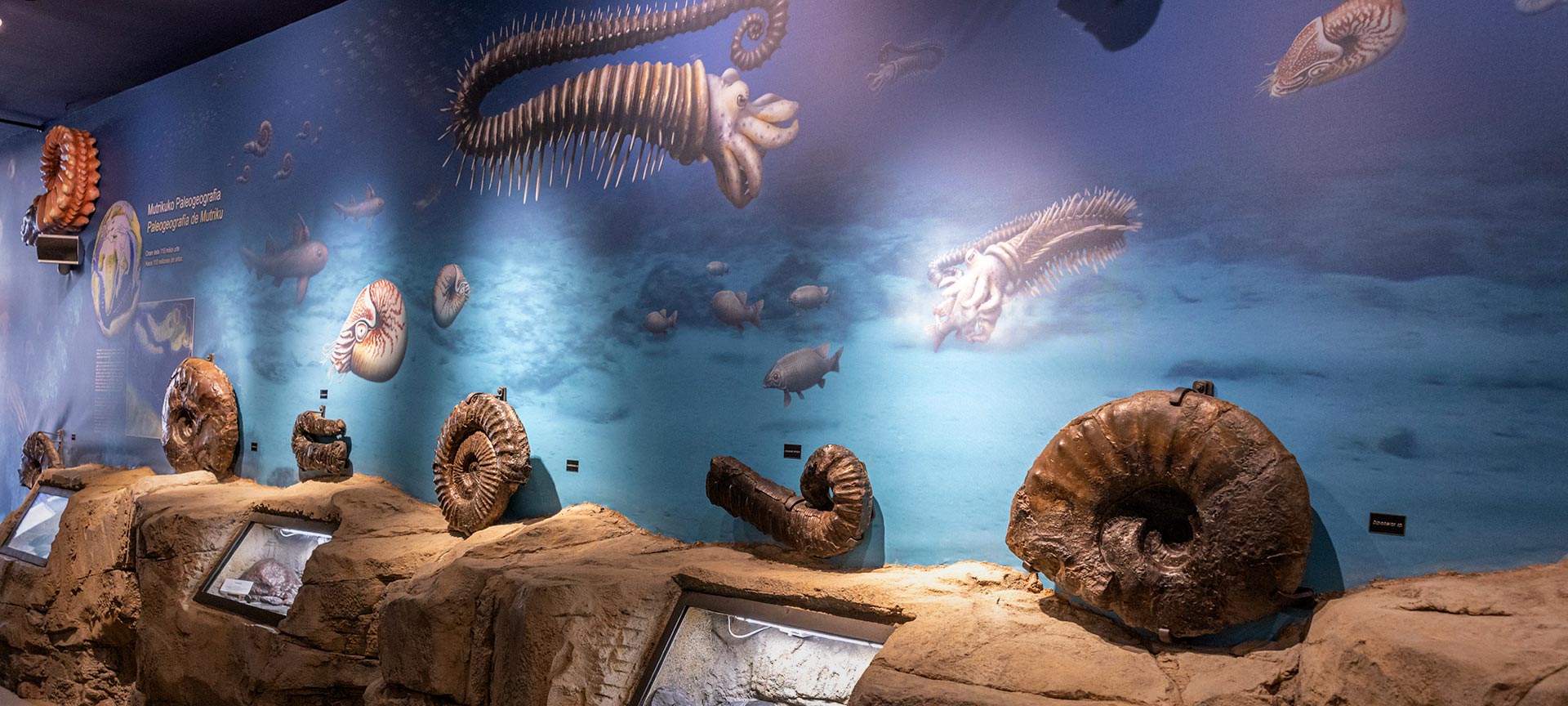Musée Nautilus à Mutriku, Gipuzkoa, Pays basque Musée Nautilus à Mutriku, Gipuzkoa, Pays basque