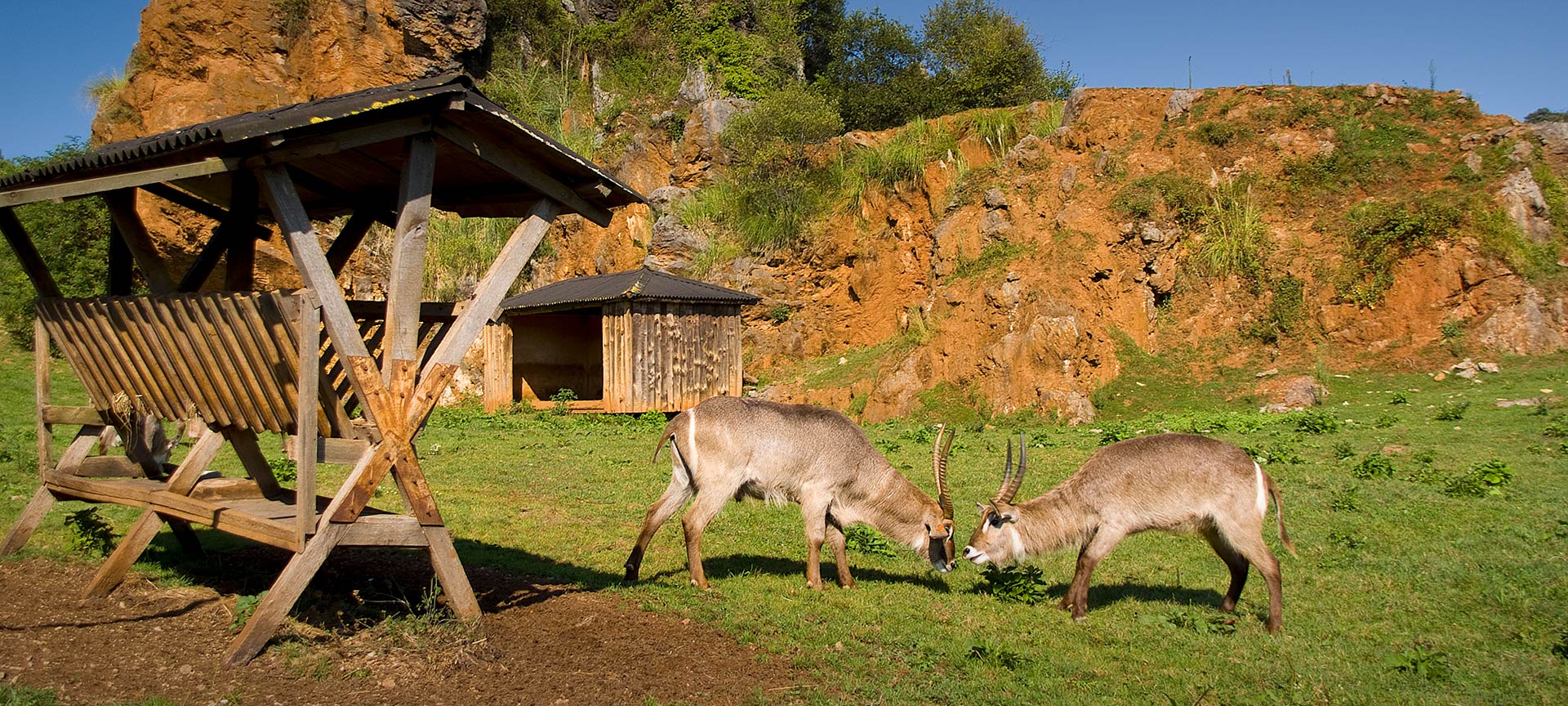 Parque de la Naturaleza de Cabárceno Parque de la Naturaleza de Cabárceno