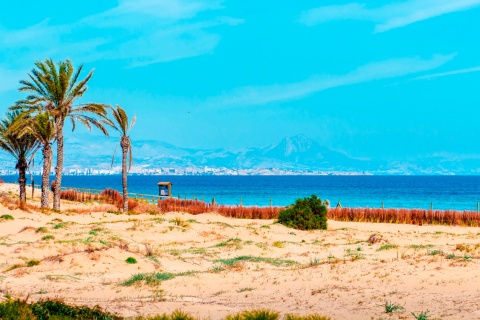 Spiaggia di Arenales del Sol ad Elche, Alicante, Comunità Valenciana