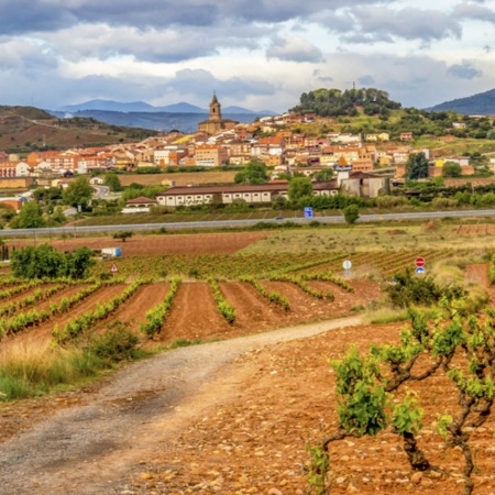 Panoramica di Navarrete davanti ai vigneti a La Rioja