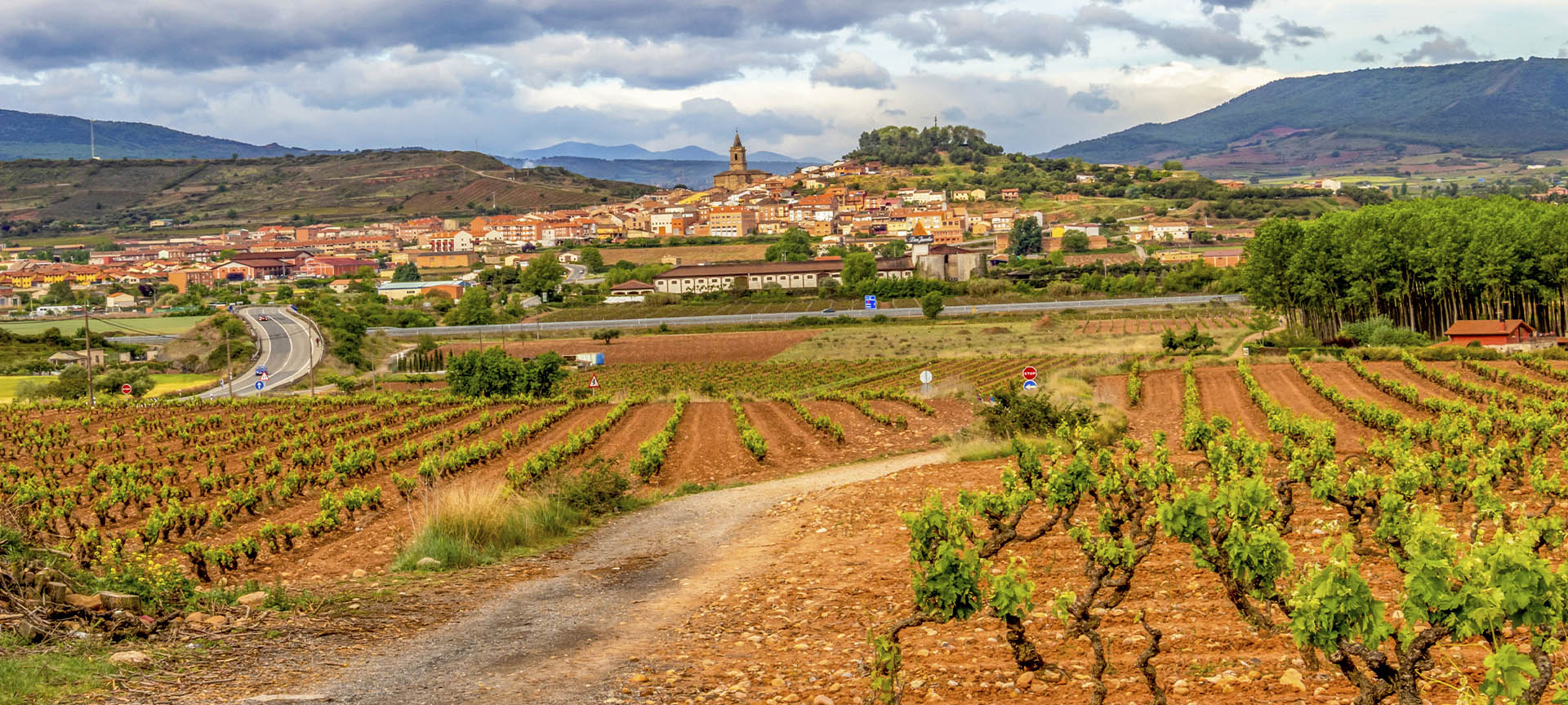 Panorámica de Navarrete frente a viñedos en La Rioja Panorámica de Navarrete frente a viñedos en La Rioja