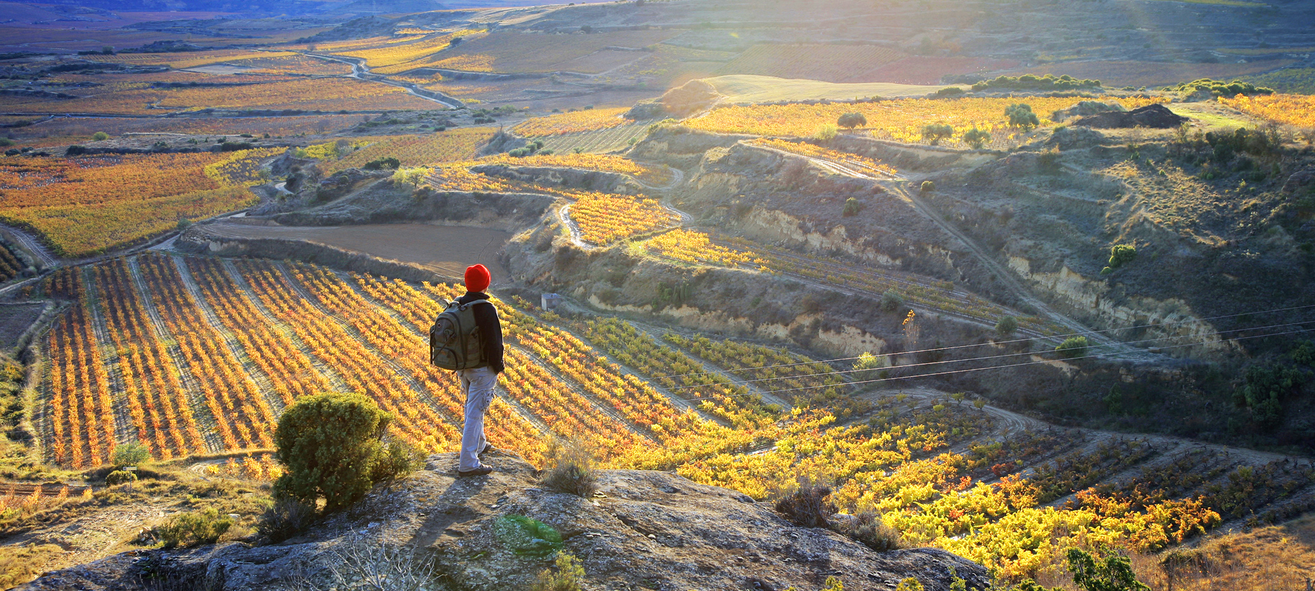 Turista contemplando los viñedos de Sonsierra en La Rioja Turista contemplando los viñedos de Sonsierra en La Rioja