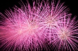 Fuochi d'artificio. Festa Nit de l’Albà a Elche, Alicante