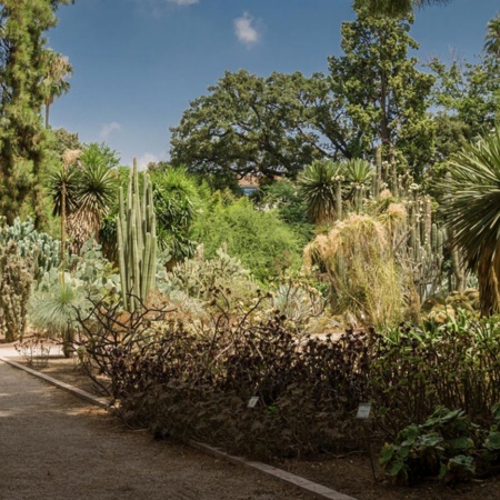 Jardin botanique de l'université de Valence