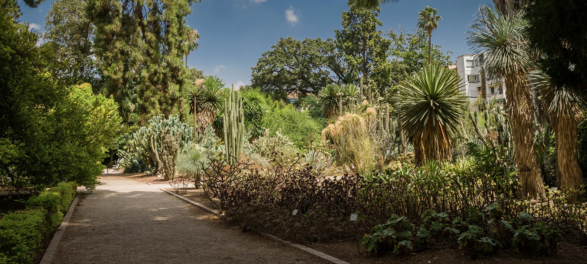 Valencia University Botanical Garden Valencia University Botanical Garden