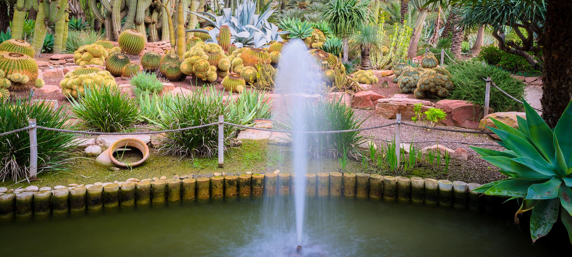 Jardín El Huerto del Cura Jardín El Huerto del Cura