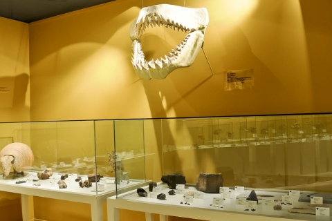 Archäologisch-historisches Museum Elche