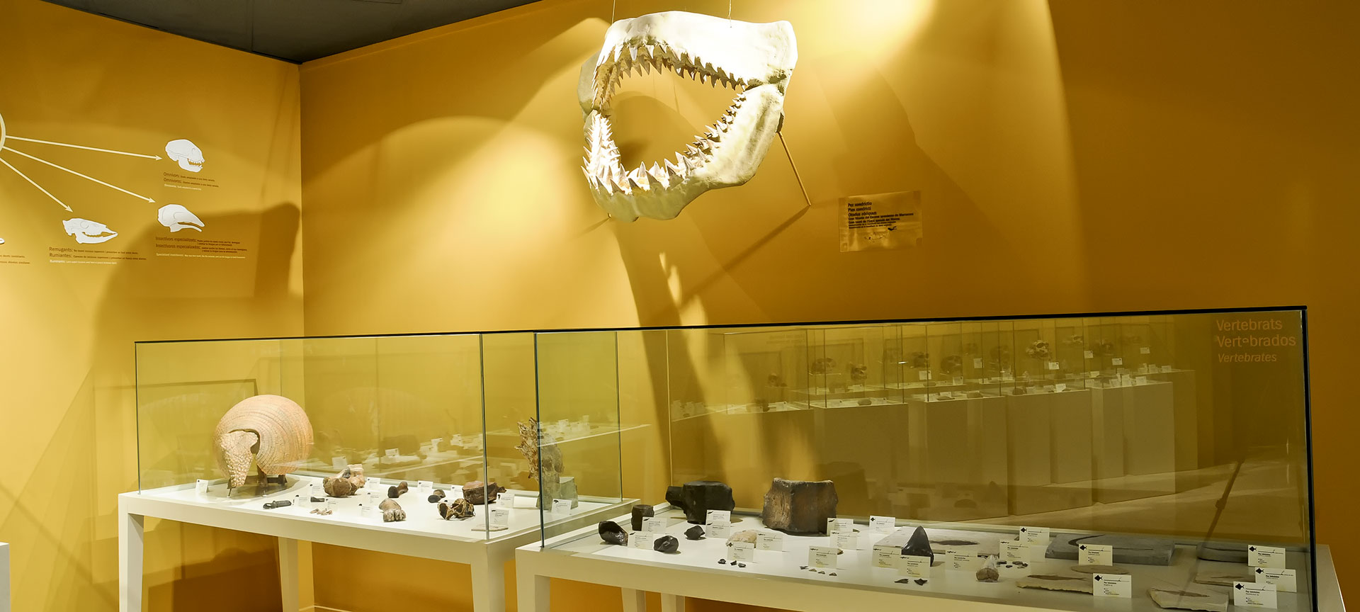 Archäologisch-historisches Museum Elche Archäologisch-historisches Museum Elche