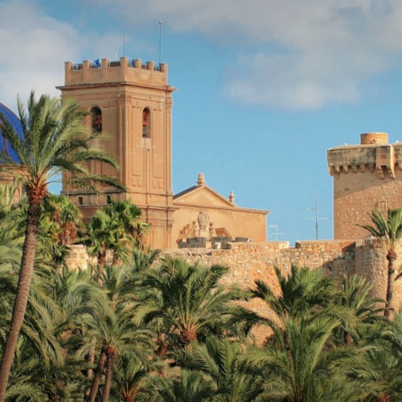 Vista del palmeral de Elche con la Basílica de Santa María detrás. Alicante