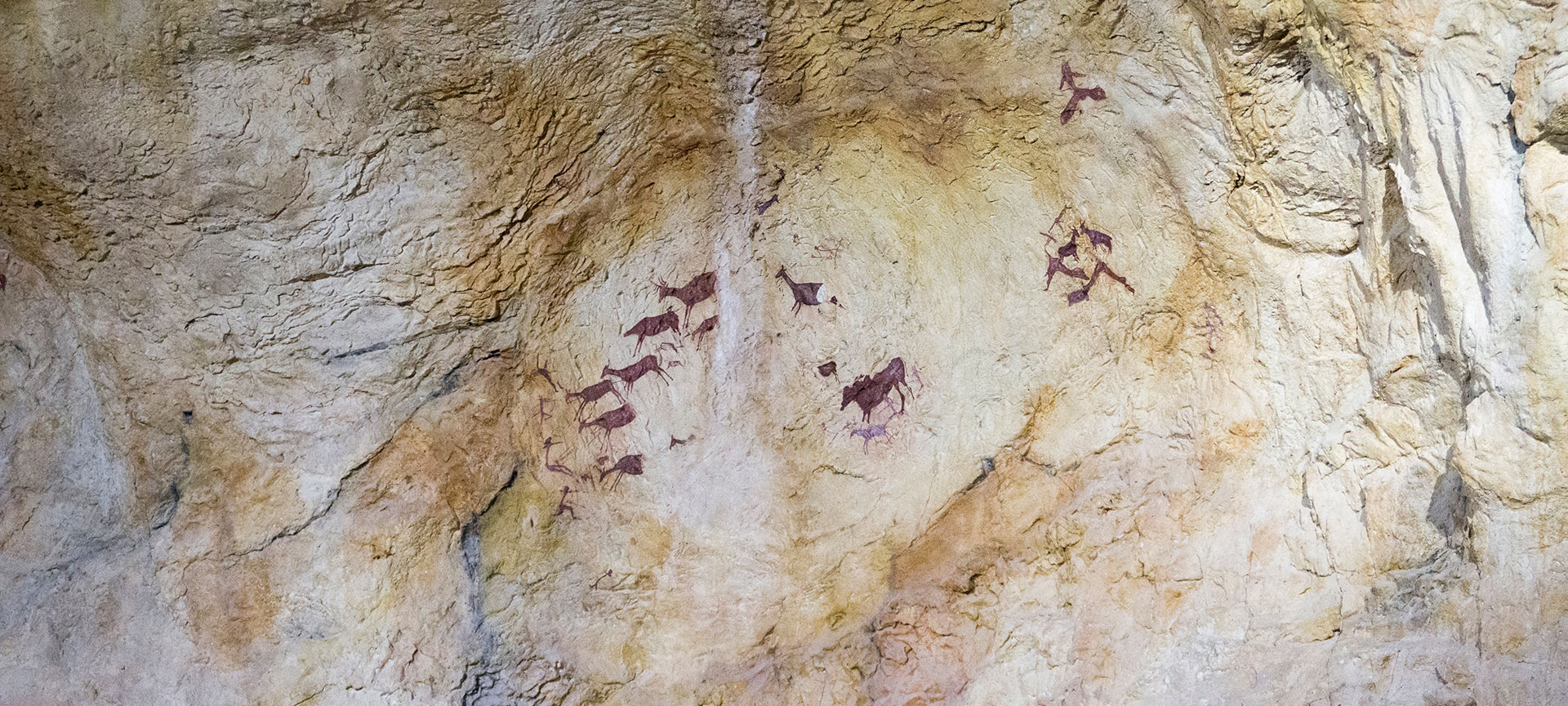 Peintures du musée archéologique de Tirig Peintures du musée archéologique de Tirig