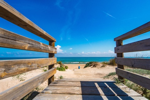 Strand: El Dossel