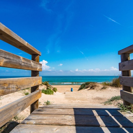 Strand: El Dossel