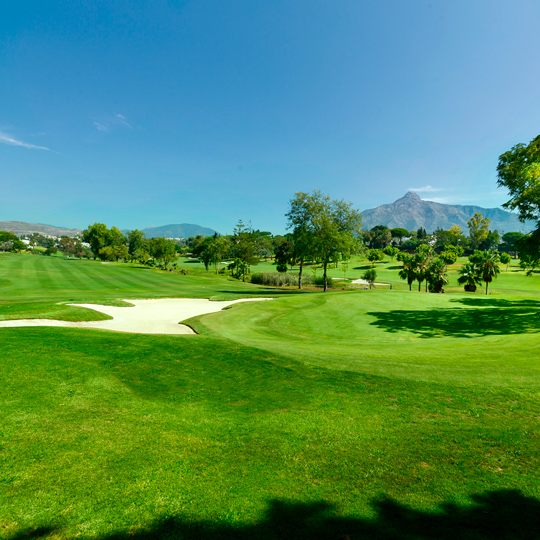 Detalle del Aloha Golf Club de Marbella en Málaga, Andalucía Detalle del Aloha Golf Club de Marbella en Málaga, Andalucía