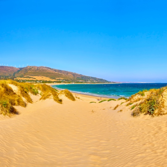 View of the Valdevaqueros dune in the Estrecho natural park, Tarifa, Cadiz, Andalusia