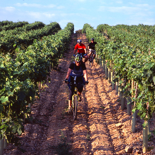 Fahrradtourismus durch die Weinberge von Barbastro 