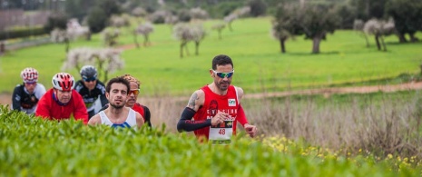 Sol Meia Maratona de Magaluf © Rafa Babot. Imagens cedidas por ICE Institut Calvianer d'Esports