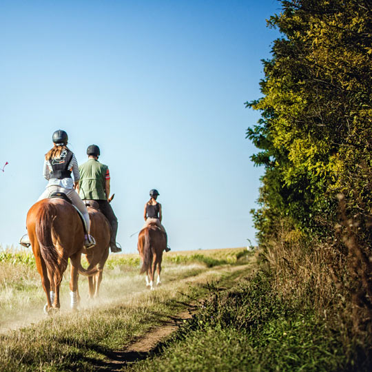 El Camino de Santiago a caballo El Camino de Santiago a caballo