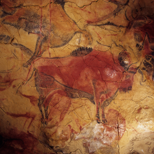 Representation of bison in the Altamira Caves in Santillana del Mar, Cantabria Representation of bison in the Altamira Caves in Santillana del Mar, Cantabria