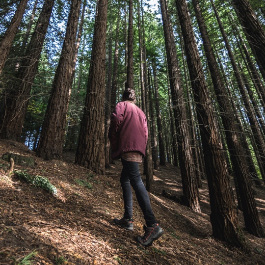 Uomo che passeggia nello Spazio Naturale Protetto del Monte Cabezón, Cantabria Uomo che passeggia nello Spazio Naturale Protetto del Monte Cabezón, Cantabria