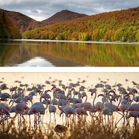 Arriba: Embalse de Irati © Gaizka Bilbao. Abajo: Flamencos en el parque Nacional de Doñana Arriba: Embalse de Irati © Gaizka Bilbao. Abajo: Flamencos en el parque Nacional de Doñana