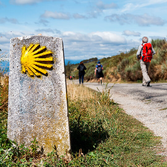 Pilgrims on the Way of Saint James Pilgrims on the Way of Saint James