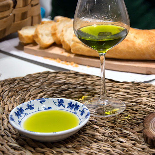 Cata de aceite de oliva Cata de aceite de oliva