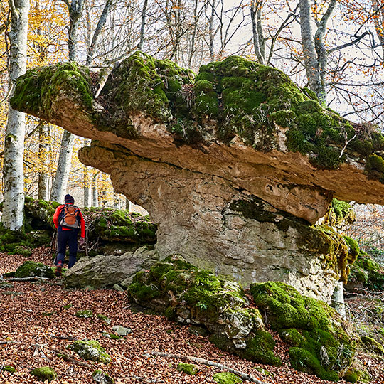 Bosque Encantado en el Parque Natural de Urbasa, Navarra Bosque Encantado en el Parque Natural de Urbasa, Navarra