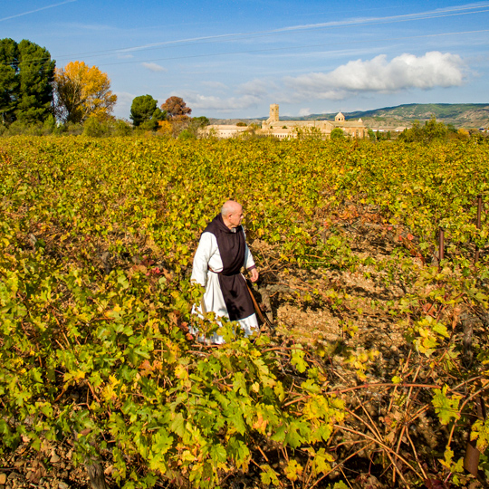 Vinhedos da Ribera Alta com o mosteiro de La Oliva ao fundo, em Carcastillo, Navarra Vinhedos da Ribera Alta com o mosteiro de La Oliva ao fundo, em Carcastillo, Navarra