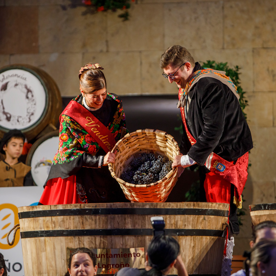 Os Vindimadores Maiores nas Festas da Vindima de La Rioja em Logroño, La Rioja Os Vindimadores Maiores nas Festas da Vindima de La Rioja em Logroño, La Rioja