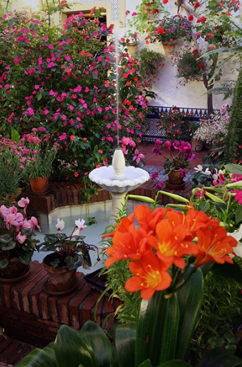 Festival de los patios de Córdoba